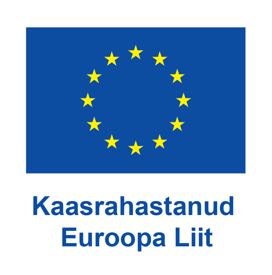 European Union flag